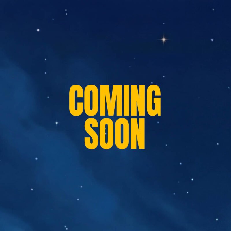 Book 2 (Coming Soon)